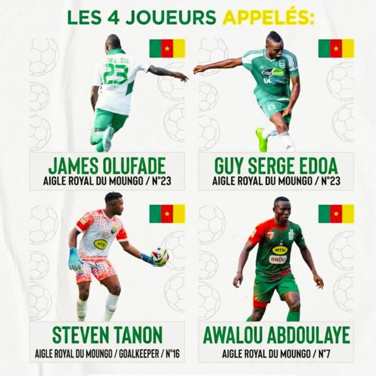 Elite One : Une décision controversée qui met à nu le favoritisme de la FECAFOOT et discrédite le championnat