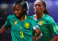 Les raisons du départ de Nchout Njoya et Meffomettou