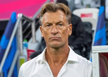 Hervé Renard : « J’ai été contacté par le Sénégal mais ma femme a… »
