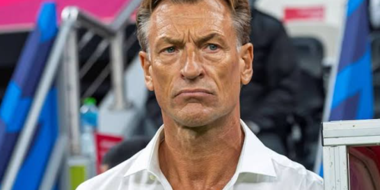 Hervé Renard : « J’ai été contacté par le Sénégal mais ma femme a… »